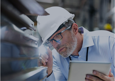 Equipo sénior de investigación y desarrollo